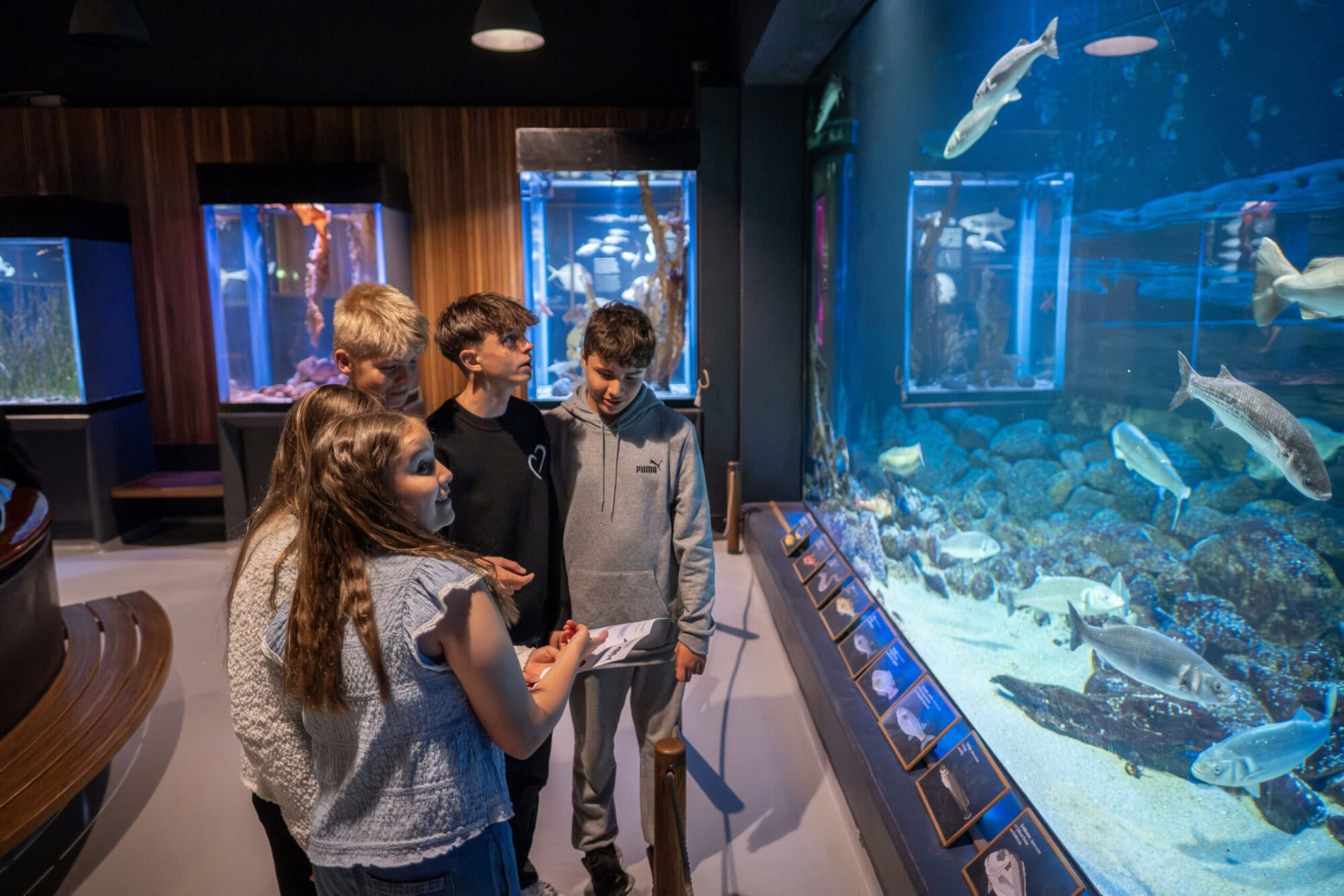 SRC23276-Enhanced-NR